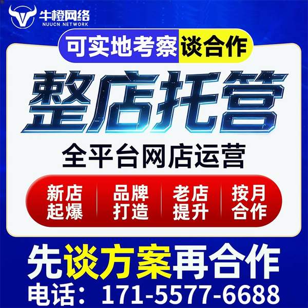 彭州电商代运营
