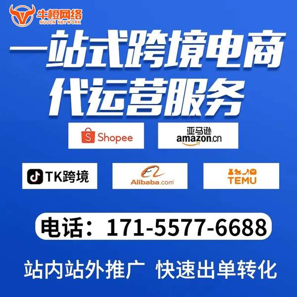 彭州电商代运营